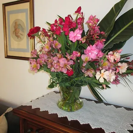 Mansarda Lina * Casarza Ligure