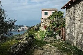 Mansarda Lina Apartment Casarza Ligure